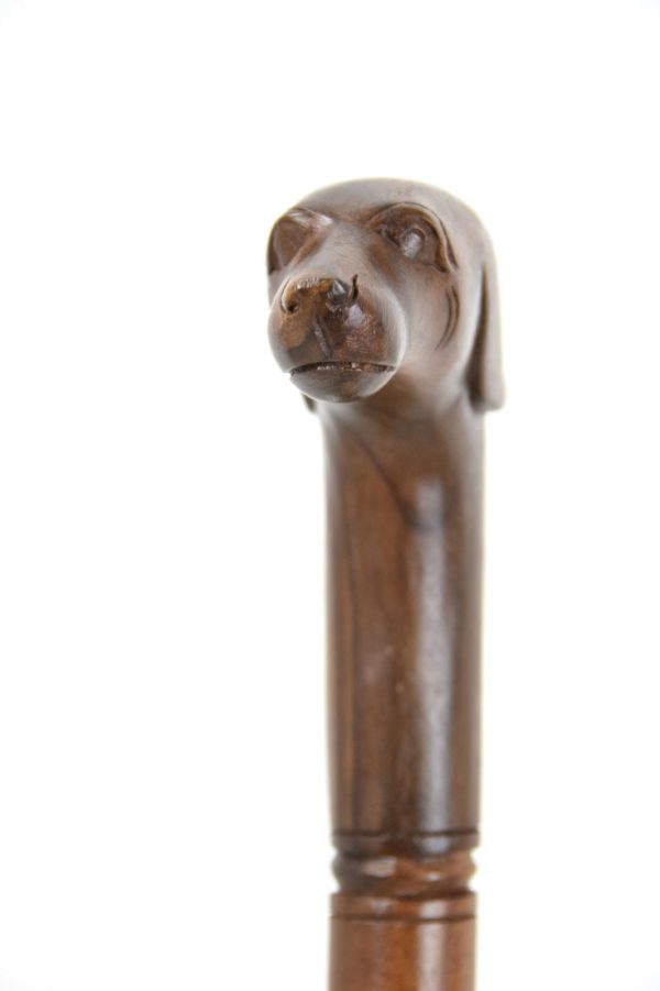 Dog wooden walking stick / cane – Hand carved from hardwood2