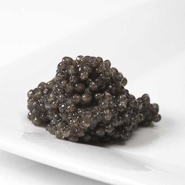beluga-caviar (2)