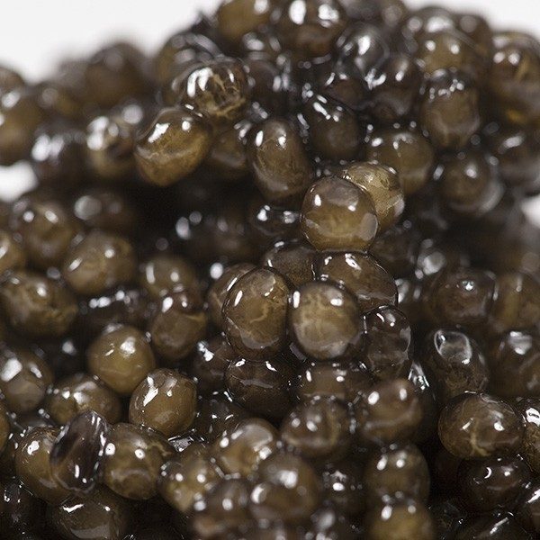 keluga-caviar (1)