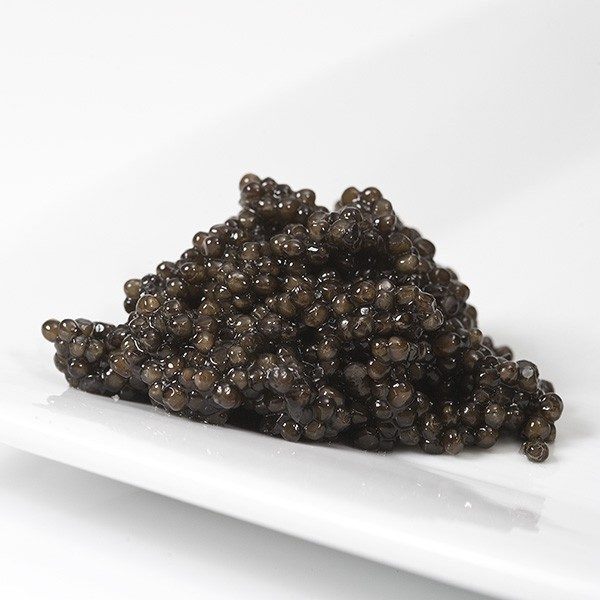 siberian-caviar (1)