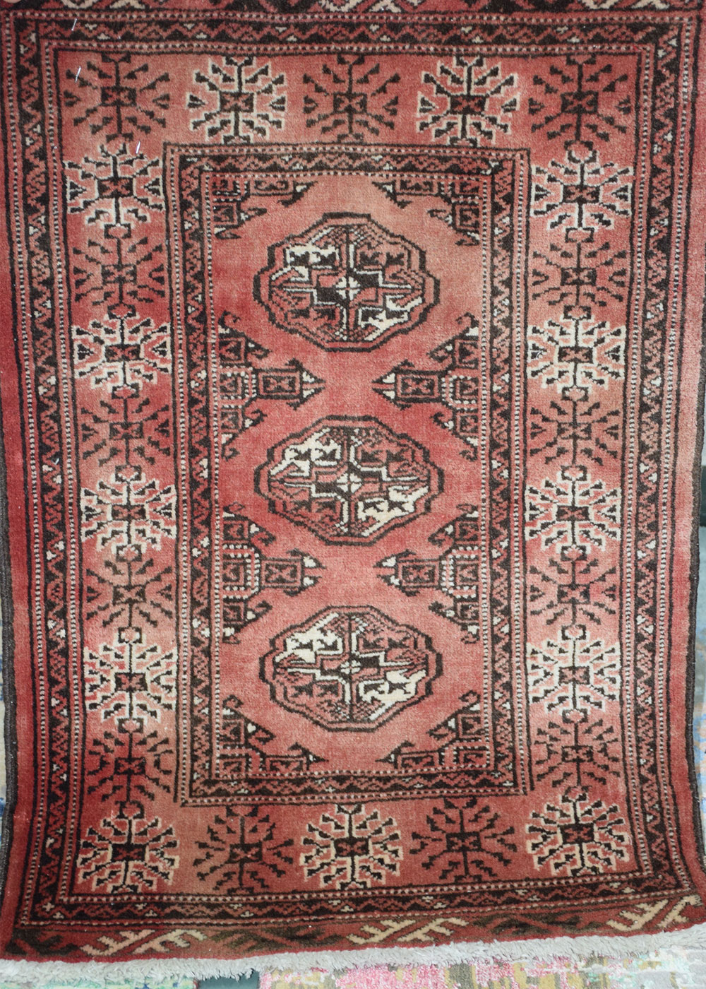 ALTER-TAKMAN–1100-(90×60)