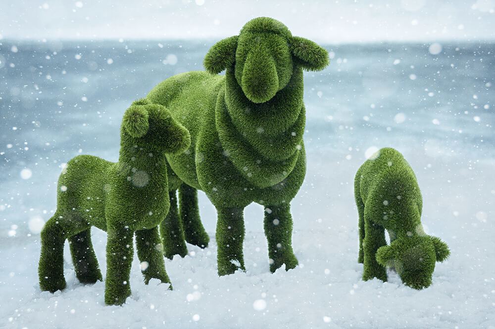 topiary-gartenfigur-schaf-gfk-kunstrasen-sanora_4