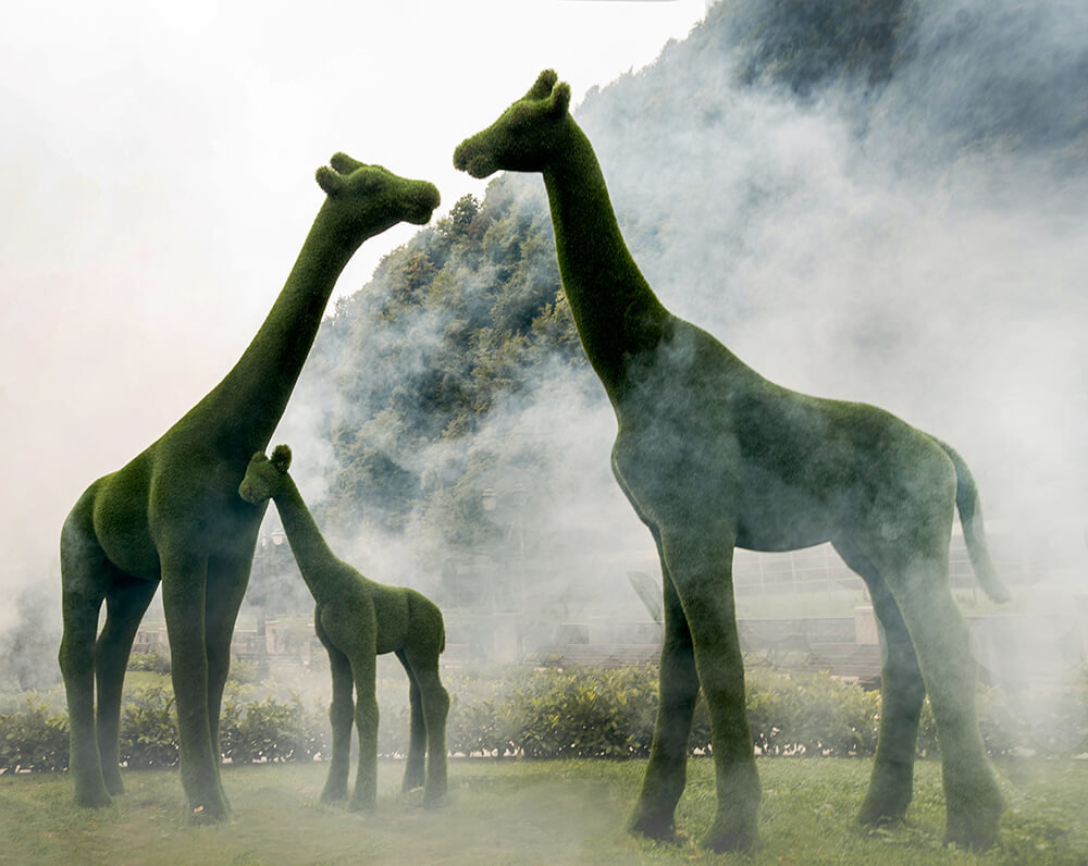 xxl-gartenskulptur-giraffe-lebensgross-topiary-gruen-gustav_9
